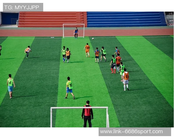 足球这张图揭示了运动背后的激情与团队精神的深刻内涵